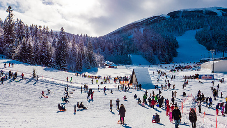 Skiers on the mountain at Bjelašnica Ski Resort