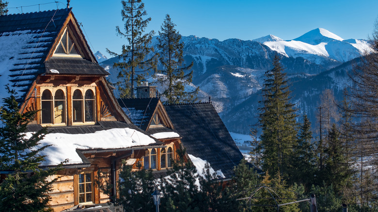 Zakopane winter landscape