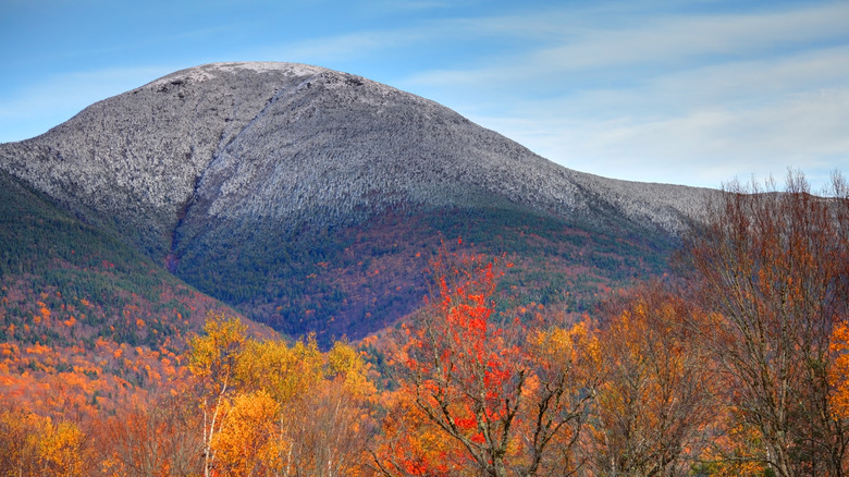 Fall colors in White Mountain National Forest