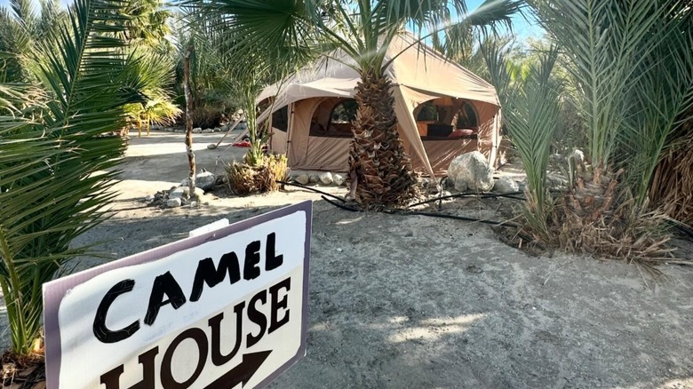 A large tent surrounded by palm trees in the desert with a sign in the foreground that reads "Camel House"