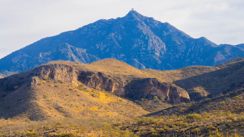 Terrain at Madera Canyon, Arizona