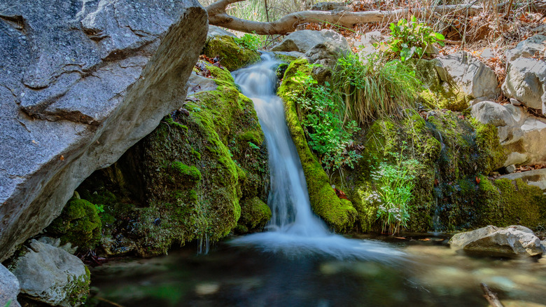 Waterfall at Ramsey Canyon Preserve