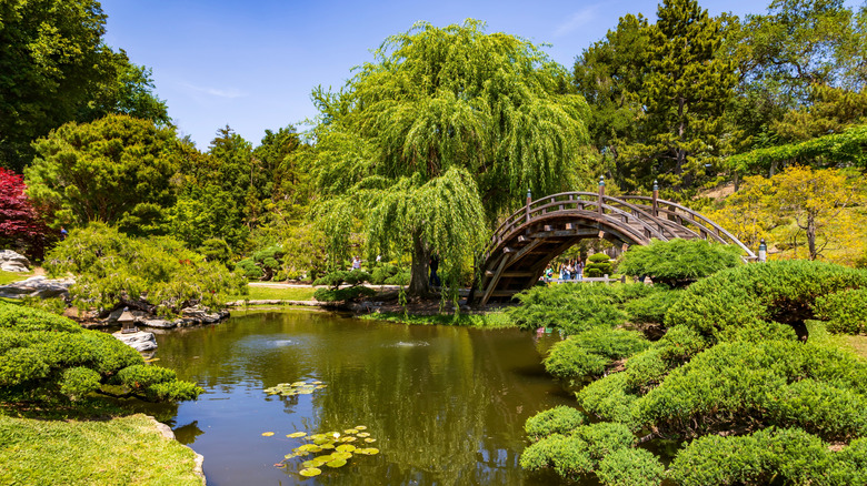 Gardens at The Huntington, California