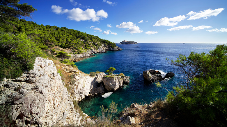Beach on San Domino island