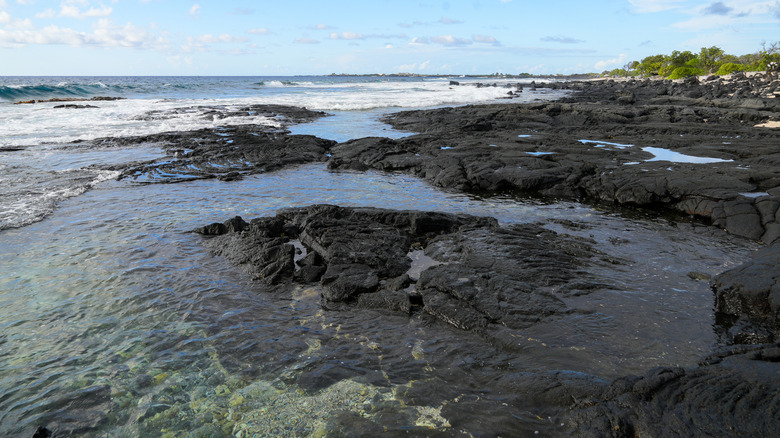 Lava rock beach in Kalaoa.