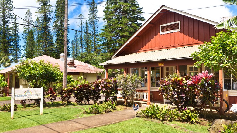 Rustic pharmacy in green Lanai City.