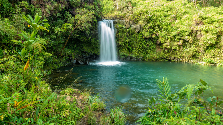Waterfall in Hana.