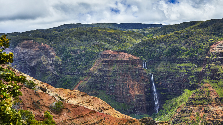 Verdant Waimea Canyon landscape.