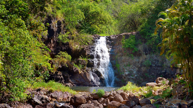 Waimea Valley Park on Oahu