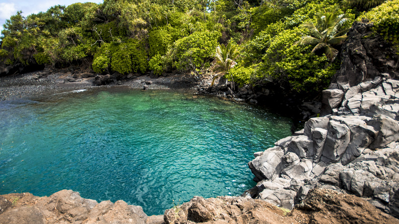Venus Pools in Hawaii
