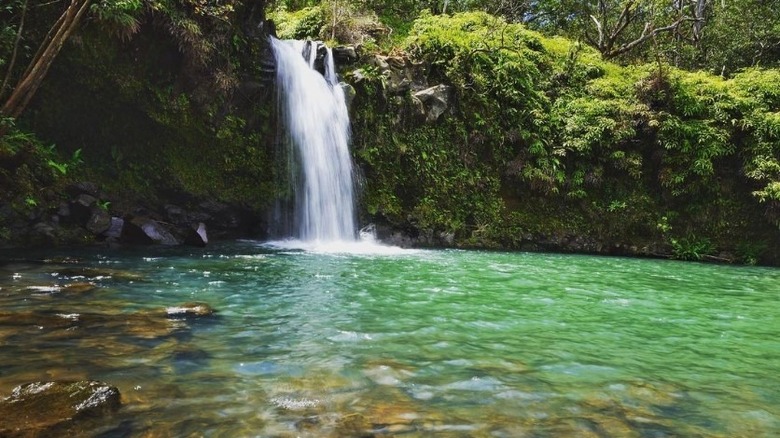 Pua'a Ka'a Falls swimming hole