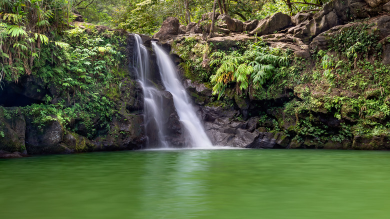 Swimming hole at Waikamoi Falls