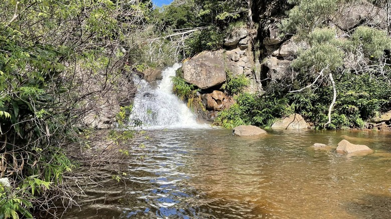 Swimming hole at Waipo'o Falls
