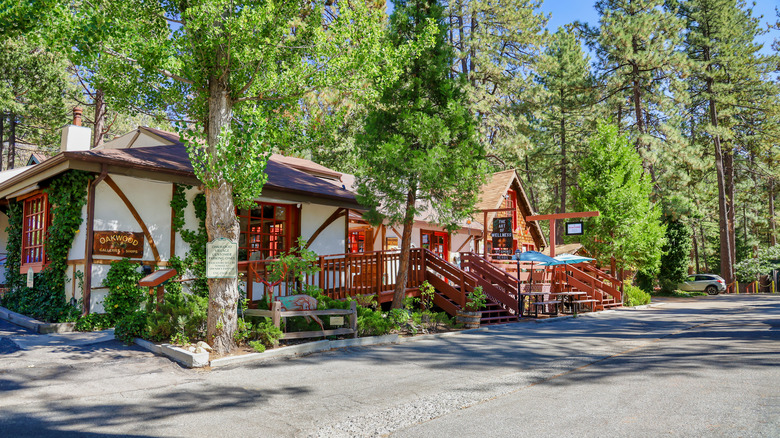 Shops in greenery of Idyllwild