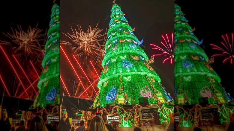 The Barrashopping Tree 2024