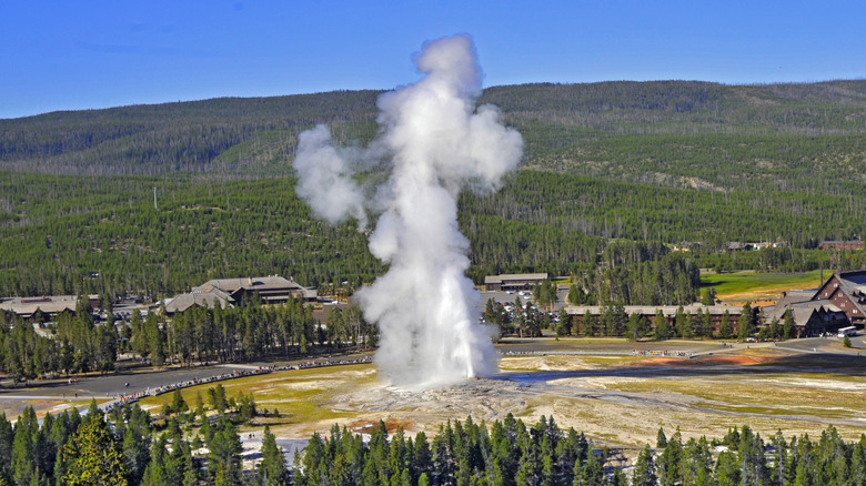 Old Faithful Geyser from the Observation Point Trail