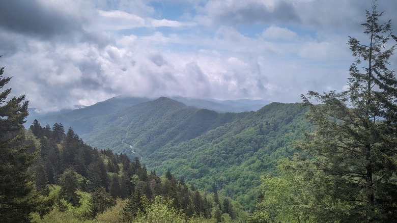 Mountains in Great Smoky Mountain National Park