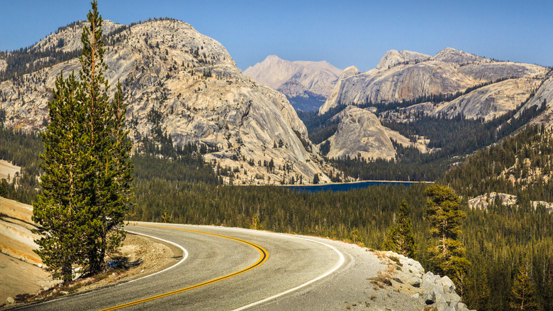 Tioga Pass at Yosemite park