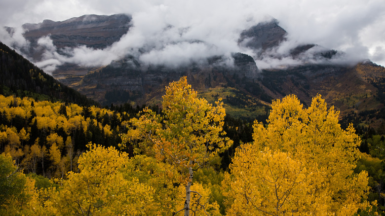 Scenic view of the famous Alpine Loop in the Wasatch Mountains, Utah