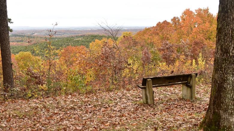 A bench at the Glade Top Trail overlook in Mark Twain National Forest, Missouri
