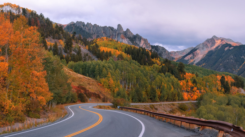 Bright fall foliage along the San Juan Skyway in Colorado