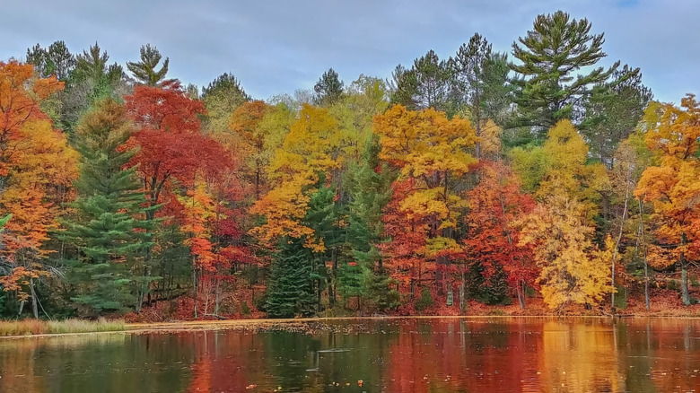 Fall colors in Eagle River, Wisconsin