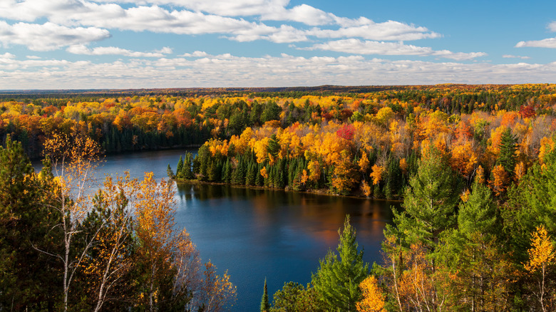 A sunny view over the Au Sable River pond in Michigan along the River Road scenic byway