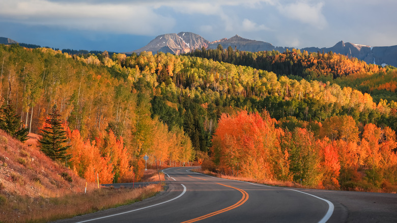 Bright fall foliage along San Juan Skyway scenic byway in Colorado