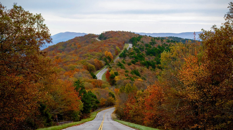 Talimena National Scenic Byway in the fall