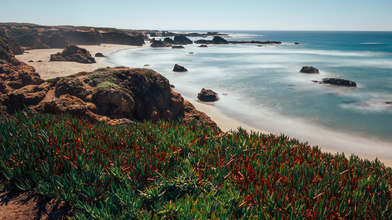 Glass Beach in Fort Bragg, California