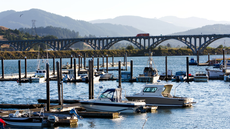 Marina with Gold Coast, Oregon in the background