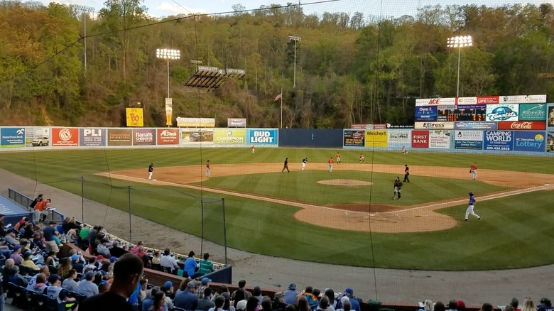 McCormick Fields surrounded by forest