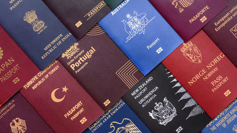 Array of global passport covers in neat rows, featuring Portugal, Australia, Turkey, India, Norway, the United Arab Emirates, New Zealand, and more