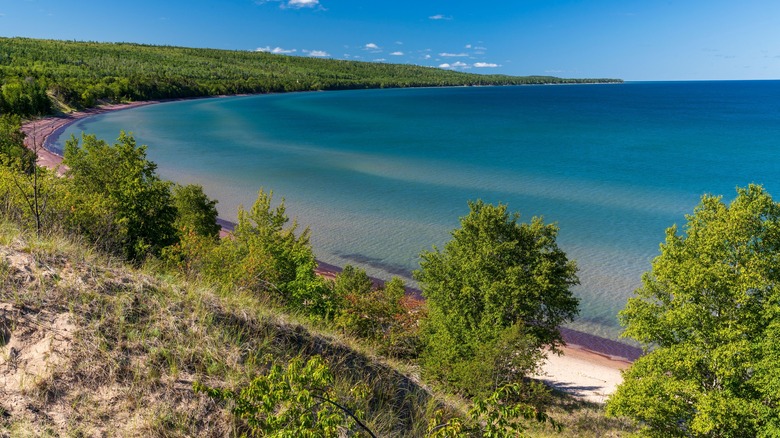 Forests around Lake Michigan