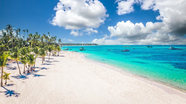 A beach in Dominican Republic