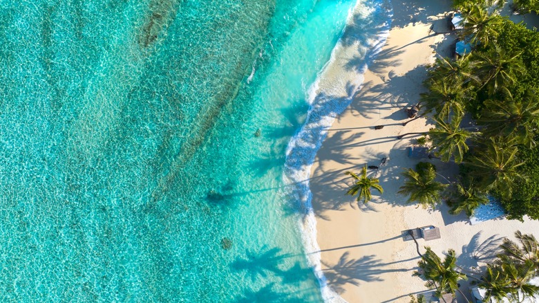 A beach in the Caribbean