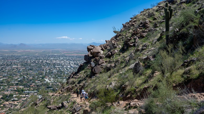 Cholla Trail near Phoenix