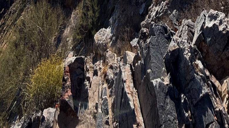 Piestewa Peak Summit Trail