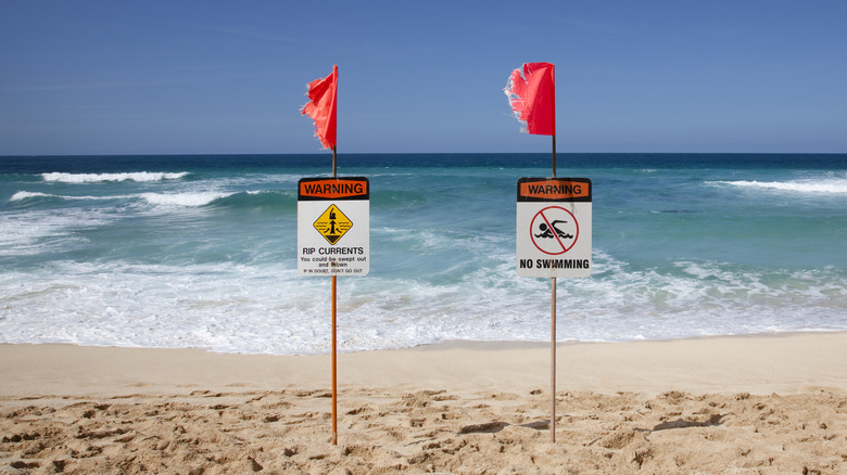 beach with warning flags