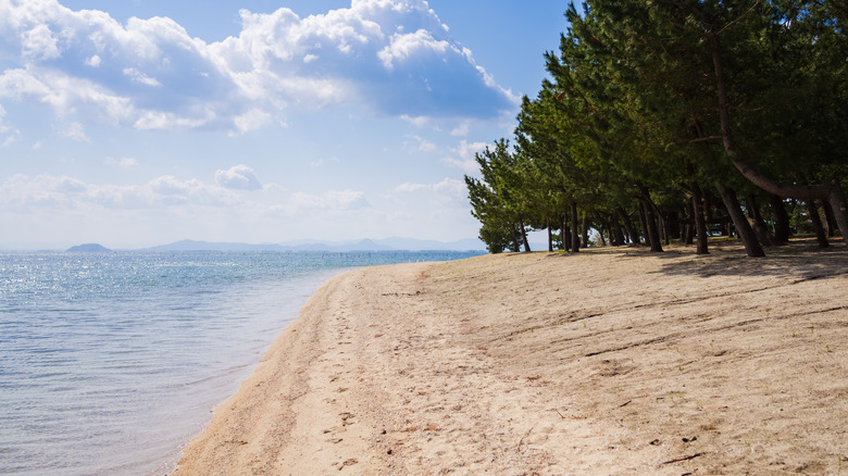 Om Maiko Beach's sandy waterfront