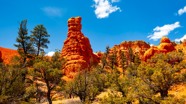rocks near Scenic Byway 12