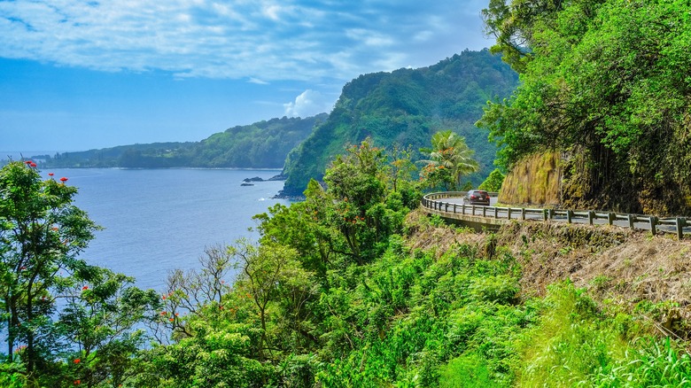 Road to Hana