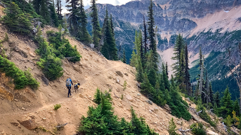 A woman and her dog walk along the Pacific Crest Trail in North Cascades National Park