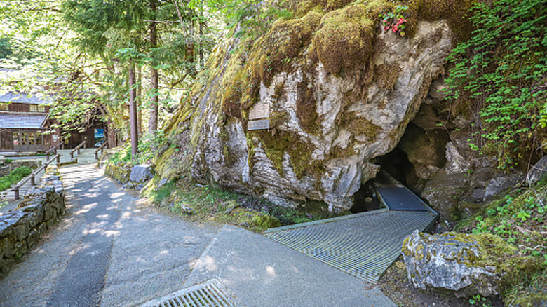 The entrance to the complex cave system at Oregon Caves National Monument