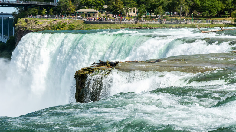 Water flowing over Niagara Falls in Niagara Falls, New York