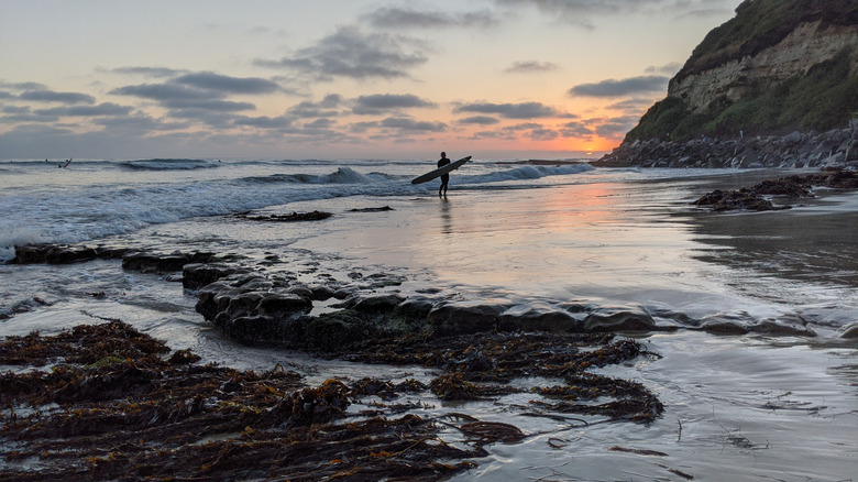 beach in Encinitas California