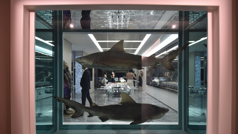 Shark decorations in Empathy Suite