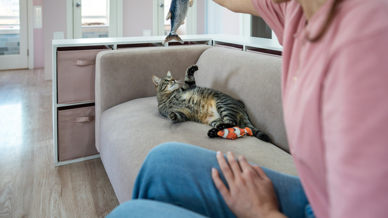 Woman seated on couch with cat playing with fish toy
