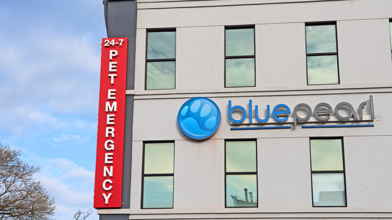 Facade of a pet hospital that says 24-7 pet emergency blue pearl