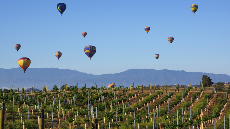 Hot air balloons over a winery in Temecula Valley in California